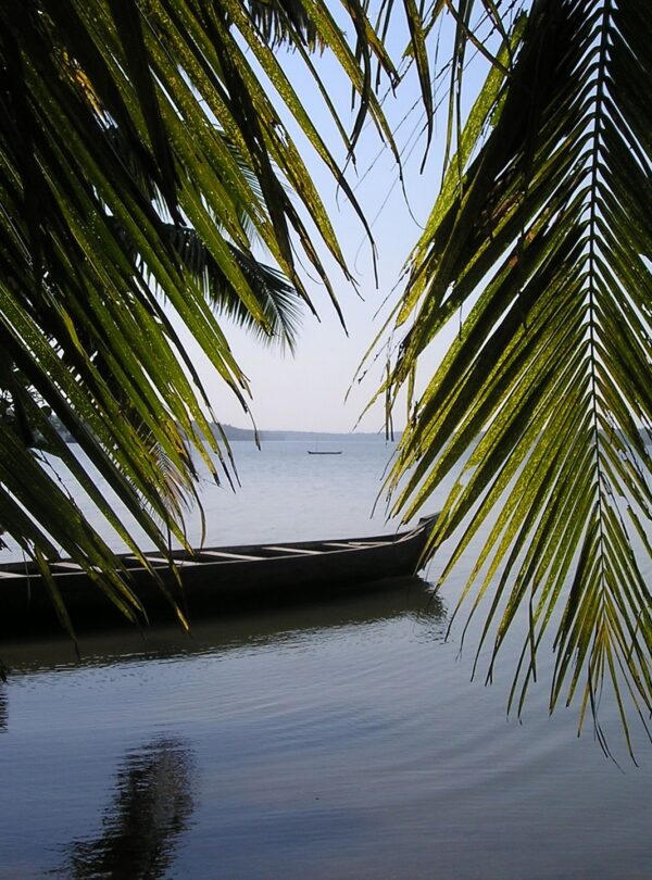 kerala boat