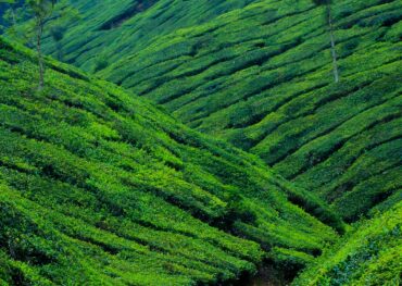 green hills 1065753