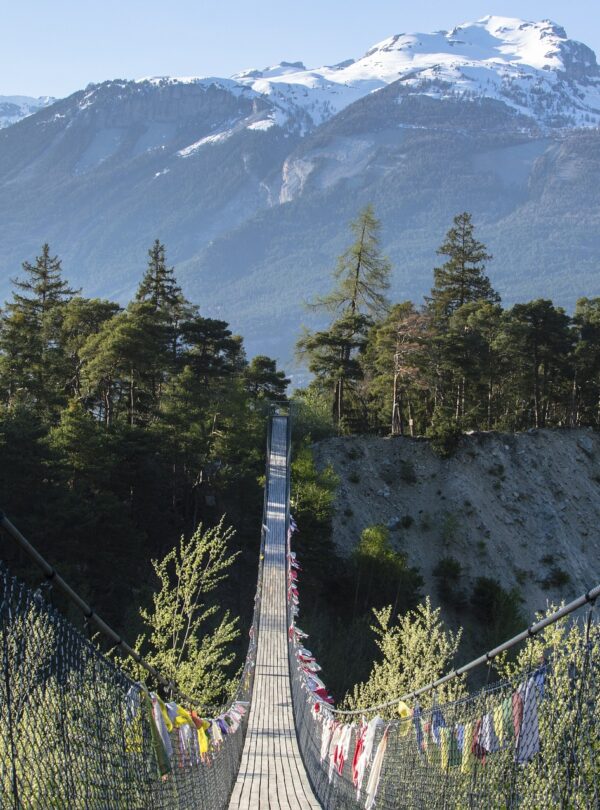 Bridge Mountain Snow