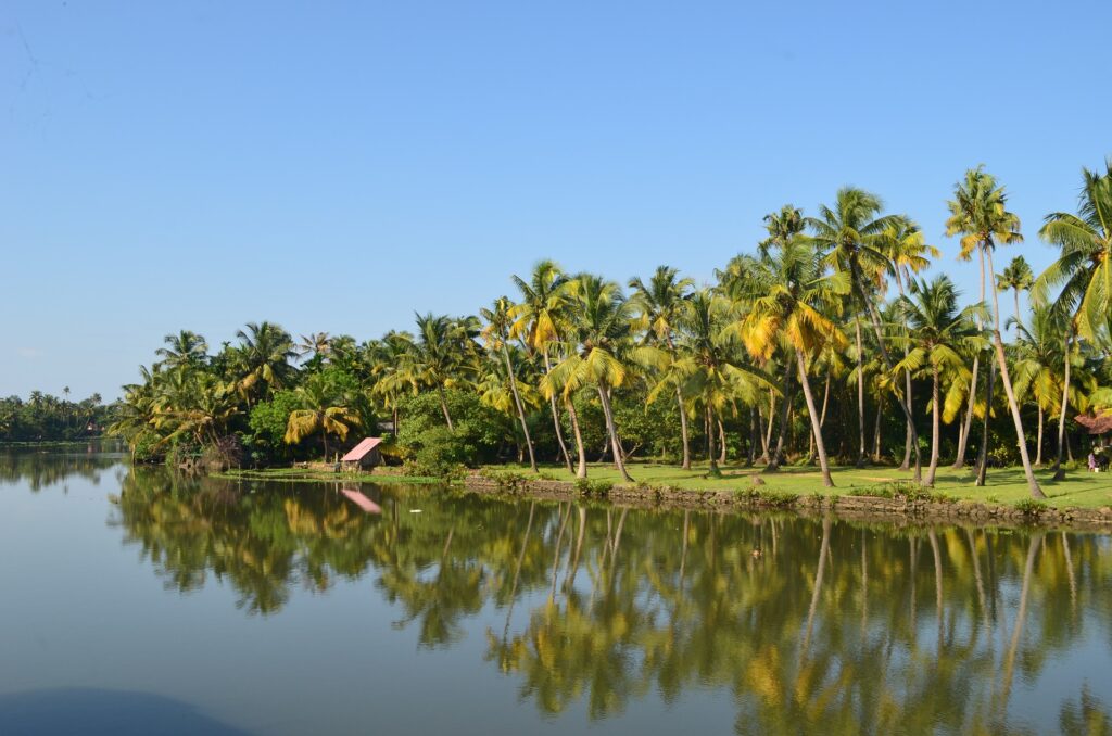 Kerala Backwater Shore